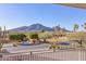 Neighborhood street view framed from a balcony, showcasing lush desert landscaping at 5826 E Indian Bend Rd, Paradise Valley, AZ 85253