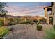 Manicured backyard featuring desert landscaping, mountain views and privacy wall at 8260 E Sunset View Dr, Gold Canyon, AZ 85118