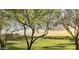 Scenic golf course view with mature trees and green fairways under a beautiful sky at 8260 E Sunset View Dr, Gold Canyon, AZ 85118