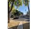 Quiet residential street with mature trees at 8861 N 12Th Pl, Phoenix, AZ 85020