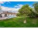 Lush backyard showcasing a sparkling pool, green lawn, and a mature citrus tree, perfect for outdoor enjoyment at 2401 E Christy Dr, Phoenix, AZ 85028