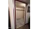 Spacious walk-in closet with ample storage space and neutral carpet at 3104 E Broadway -- # 88, Mesa, AZ 85204