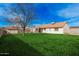 Spacious backyard featuring a large tree and a well-manicured lawn at 5603 W Bluefield Ave, Glendale, AZ 85308