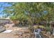 Large backyard with mature trees, gravel ground, and seating at 7201 W Alvarado Rd, Phoenix, AZ 85035