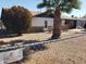 House exterior with mature landscaping and chain link fence at 921 S Pioneer --, Mesa, AZ 85204