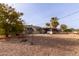 Large backyard with gravel and mature trees at 10126 W Sun City Blvd, Sun City, AZ 85351