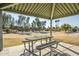 Covered picnic area with table and benches, located near a grassy area with trees at 1142 N Oakland --, Mesa, AZ 85205