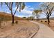 Picturesque walking path lined with mature trees, shrubs and plants, providing a serene outdoor experience at 22415 N 34Th Ln, Phoenix, AZ 85027