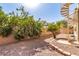 Charming backyard with mature fruit trees and spiral staircase, creating a tranquil outdoor space at 22477 S 197Th Cir, Queen Creek, AZ 85142