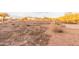 Vacant Land offering space to build your dream desert oasis with mountain views at 37327 N 16Th St, Phoenix, AZ 85086