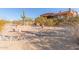 Landscaped backyard with desert plants and stone pathways at 8540 E Mcdowell Rd # 55, Mesa, AZ 85207