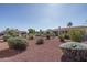 Landscaped backyard with desert plants and gravel at 13403 W Cabrillo Dr, Sun City West, AZ 85375