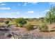 Landscaped backyard with desert plants and rock features at 19063 N 265Th Ave, Buckeye, AZ 85396