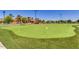 A large putting green with manicured turf, flags, and landscaping; great for recreational use at 20208 N Oxbow Ln, Maricopa, AZ 85138