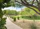 Beautifully landscaped exterior showcasing lush greenery and a peaceful walking path at 3935 E Rough Rider Rd # 1191, Phoenix, AZ 85050