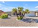 House exterior featuring a well-maintained lawn and desert landscaping at 4725 E Capri Ave, Mesa, AZ 85206