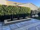 Tranquil water feature with sleek stonework and lush greenery at 6922 E Cactus Wren Rd, Paradise Valley, AZ 85253