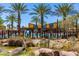 Community pool with palm trees and surrounding landscaping at 10012 E Tamery Ave, Mesa, AZ 85212