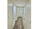 Hallway with wood-look floors and white doors, creating a clean and simple passage within the home at 1708 W Harmont Dr, Phoenix, AZ 85021