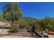 Landscaped yard with pathway, trees, and desert plants at 210 W Yucca Ln, New River, AZ 85087