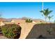 View of backyard with block wall, desert plants, and palm trees and mountain views at 10306 E Rising Sun Pl, Gold Canyon, AZ 85118