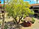 Ground level view of the community's courtyard and gazebo at 10330 W Thunderbird Blvd # A321, Sun City, AZ 85351