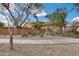 Landscaped front yard with desert plants and a curved walkway at 11259 W Harrison St, Avondale, AZ 85323