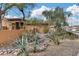 Xeriscaped front yard with mature trees and gravel at 11259 W Harrison St, Avondale, AZ 85323