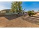 Large backyard with gravel landscaping and a tree at 12734 W Crystal Lake Dr, Sun City West, AZ 85375