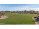 Expansive grassy area perfect for relaxation and recreation at 19726 W Morning Glory St, Buckeye, AZ 85326