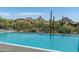 Stunning pool with mountain backdrop and desert landscape at 28110 N 96Th Pl, Scottsdale, AZ 85262