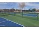 Well-maintained pickleball courts, perfect for recreational activities and community engagement at 29050 N Mountain View Rd, San Tan Valley, AZ 85143