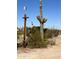 A view of the property's desert landscape, with native plants and blue sky at 29967 N Sandridge Dr, Queen Creek, AZ 85144