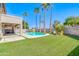 Relaxing backyard featuring pool, covered patio, lush green lawn, and palm trees at 3591 S Larkspur Way, Chandler, AZ 85248