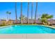 Inviting backyard pool surrounded by tall palm trees and lush artificial grass at 3591 S Larkspur Way, Chandler, AZ 85248