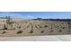 Landscaped common area with desert plants and gravel at 37749 N Cowboy Ln, San Tan Valley, AZ 85140