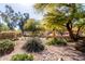 Backyard featuring desert landscaping, mature trees and shrubs, rock ground cover, and metal fencing at 5373 W Dublin Ct, Chandler, AZ 85226