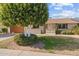 House exterior showcasing a lush green lawn and a mature tree in front at 9890 N Balboa Dr, Sun City, AZ 85351