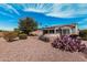 Lush backyard featuring desert landscaping, a mature tree, and a covered patio for outdoor living at 17061 W Peregrine Ln, Surprise, AZ 85387