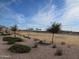 Community park with basketball court and green space at 24338 W Albeniz Pl, Buckeye, AZ 85326