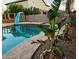 Pool area with slide, diving board, and tropical plants at 5840 S Pico St, Gilbert, AZ 85298