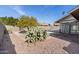 Landscaped backyard with gravel and cactus plants at 9832 W Oraibi Dr, Peoria, AZ 85382