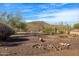 Landscaped backyard with desert plants and mountain views at 13050 W Pinnacle Vista Dr, Peoria, AZ 85383
