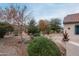Landscaped backyard with desert plants and gravel pathway at 16019 W Kino Dr, Surprise, AZ 85374