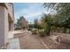 Landscaped backyard with desert plants and gravel at 16019 W Kino Dr, Surprise, AZ 85374
