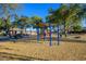 Community playground surrounded by lush trees, picnic area, and swings at 17965 W Carol Ave, Waddell, AZ 85355