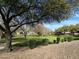 Scenic community park with lush grass and mature trees at 2073 E Wildhorse Dr, Chandler, AZ 85286
