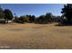 Expansive park with trees in the distance, offering a peaceful recreational space at 2865 E Cathy Dr, Gilbert, AZ 85296