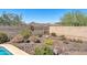Landscaped backyard featuring a decorative brick wall with desert vegetation and mountain views at 30696 N 130Th Ln, Peoria, AZ 85383