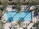 Aerial view of sparkling community pool lined with lounge chairs and palm trees at 5000 N Camelback Ridge Dr # 107, Scottsdale, AZ 85251